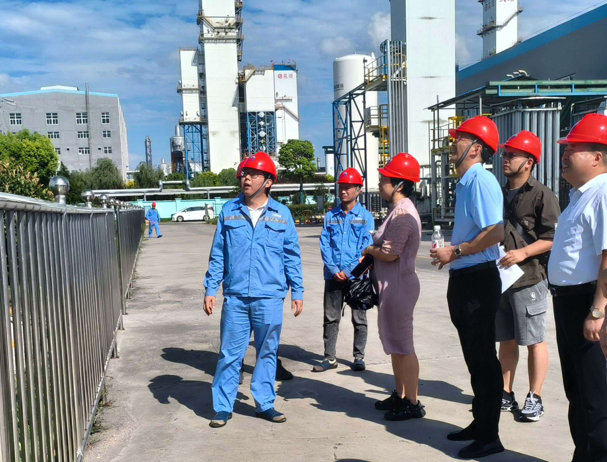香港彩六宝典资料