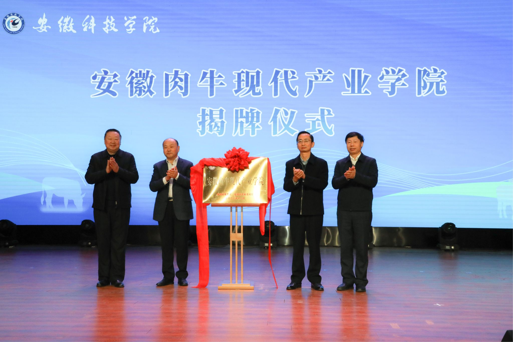 香港彩六宝典资料