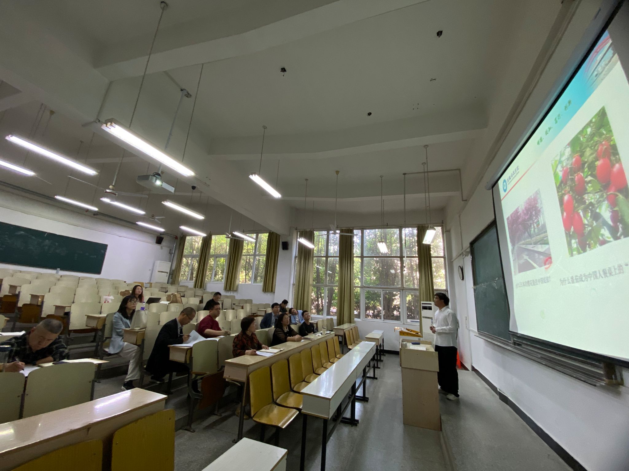 香港彩六宝典资料