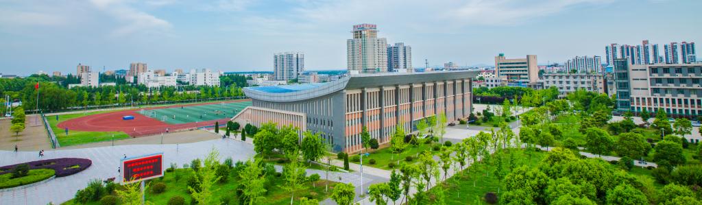 香港彩六宝典资料