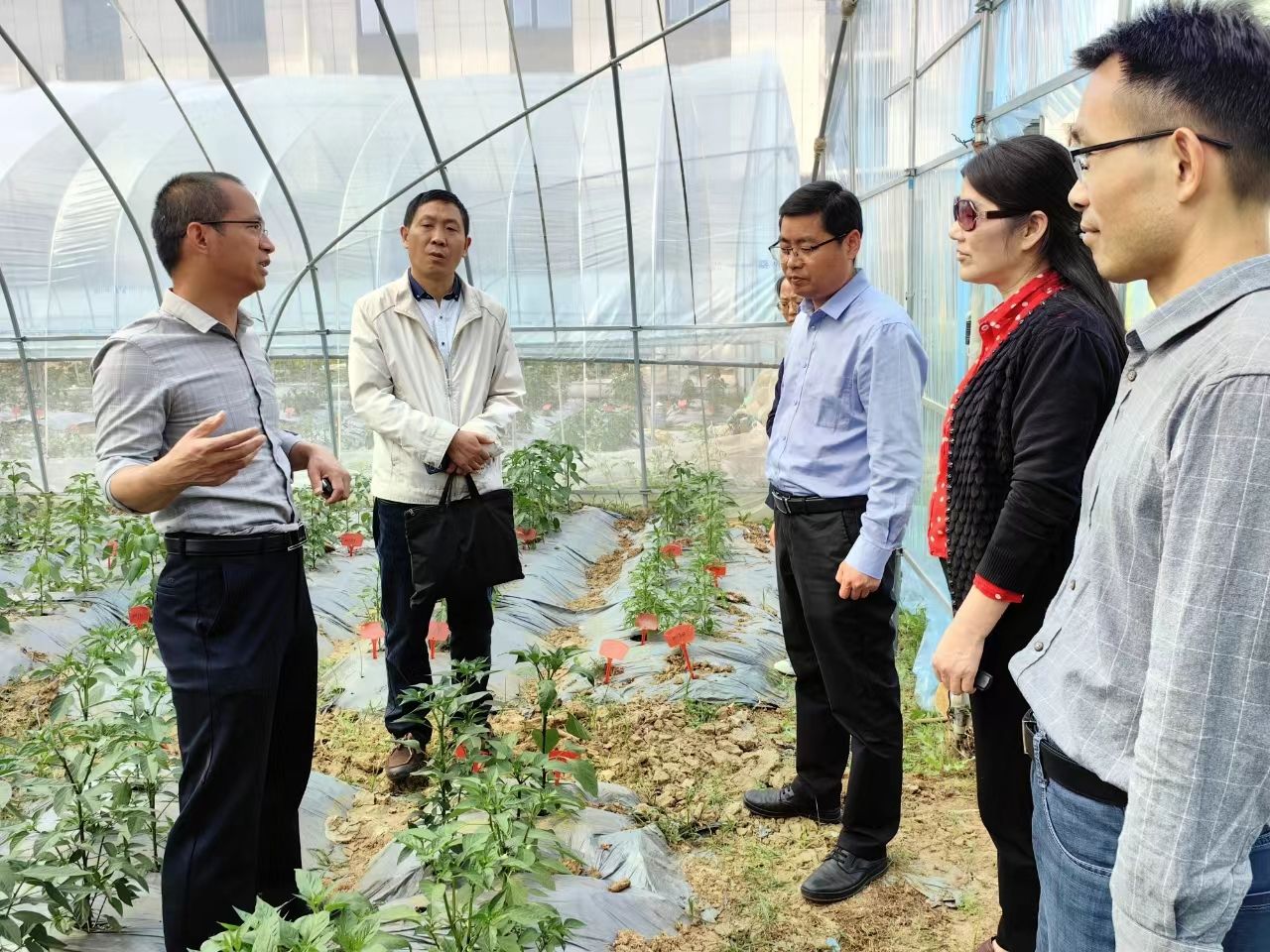 香港彩六宝典资料