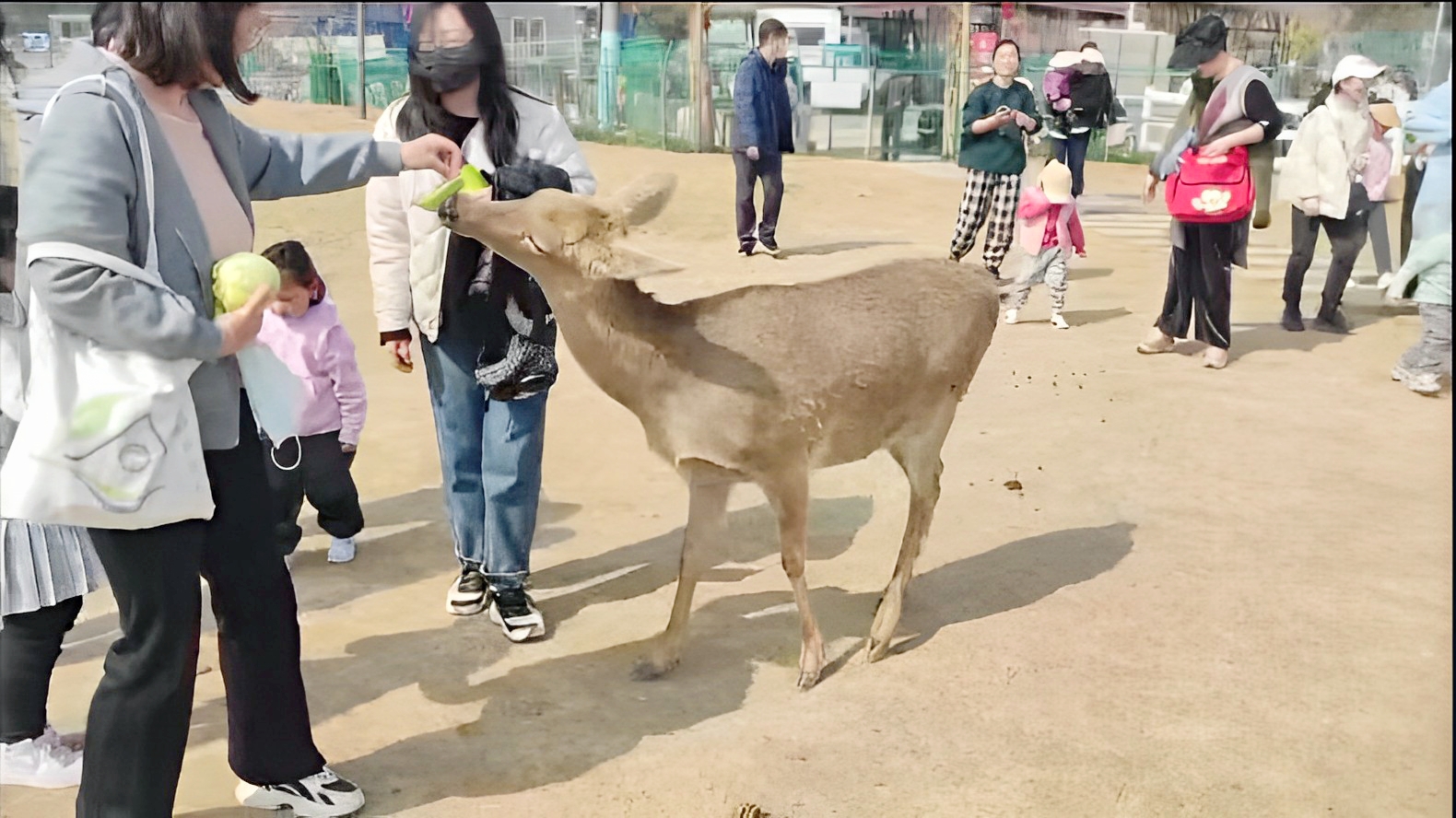 香港彩六宝典资料