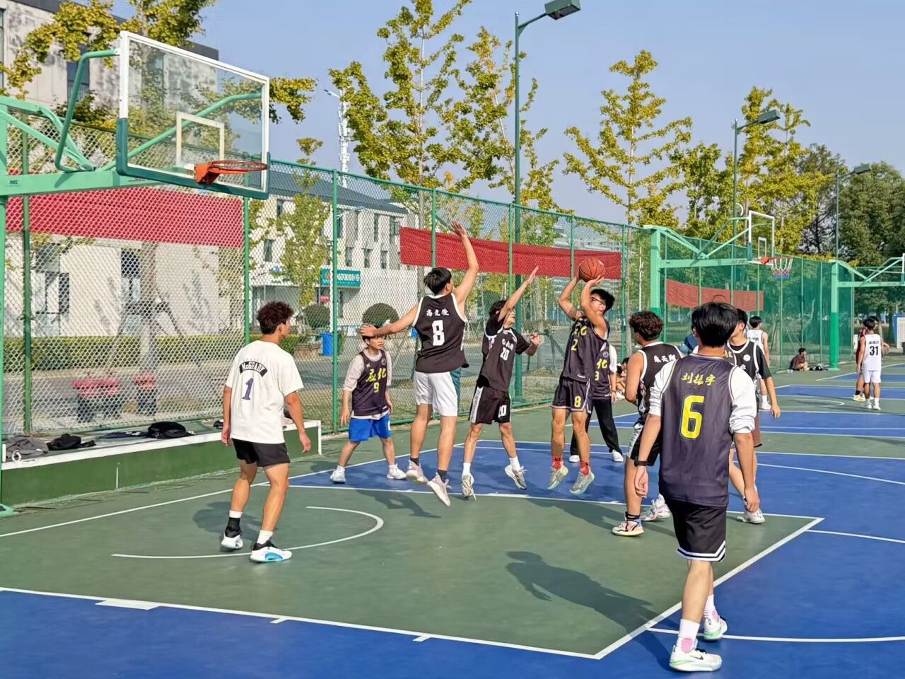 香港彩六宝典资料