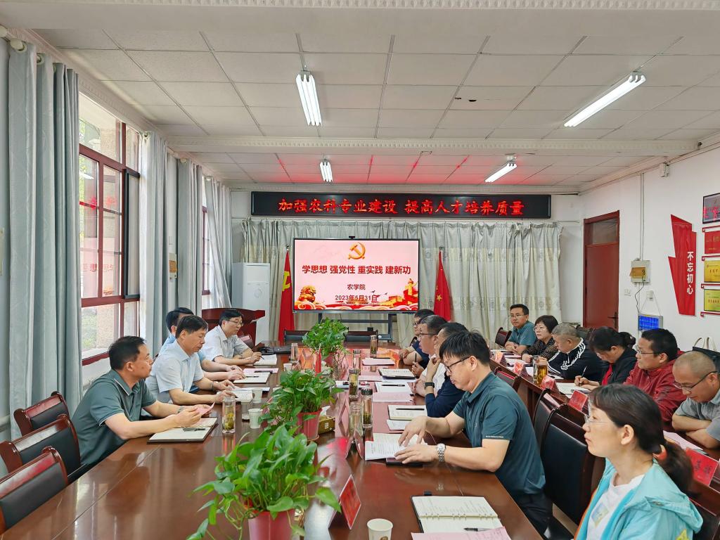 香港彩六宝典资料