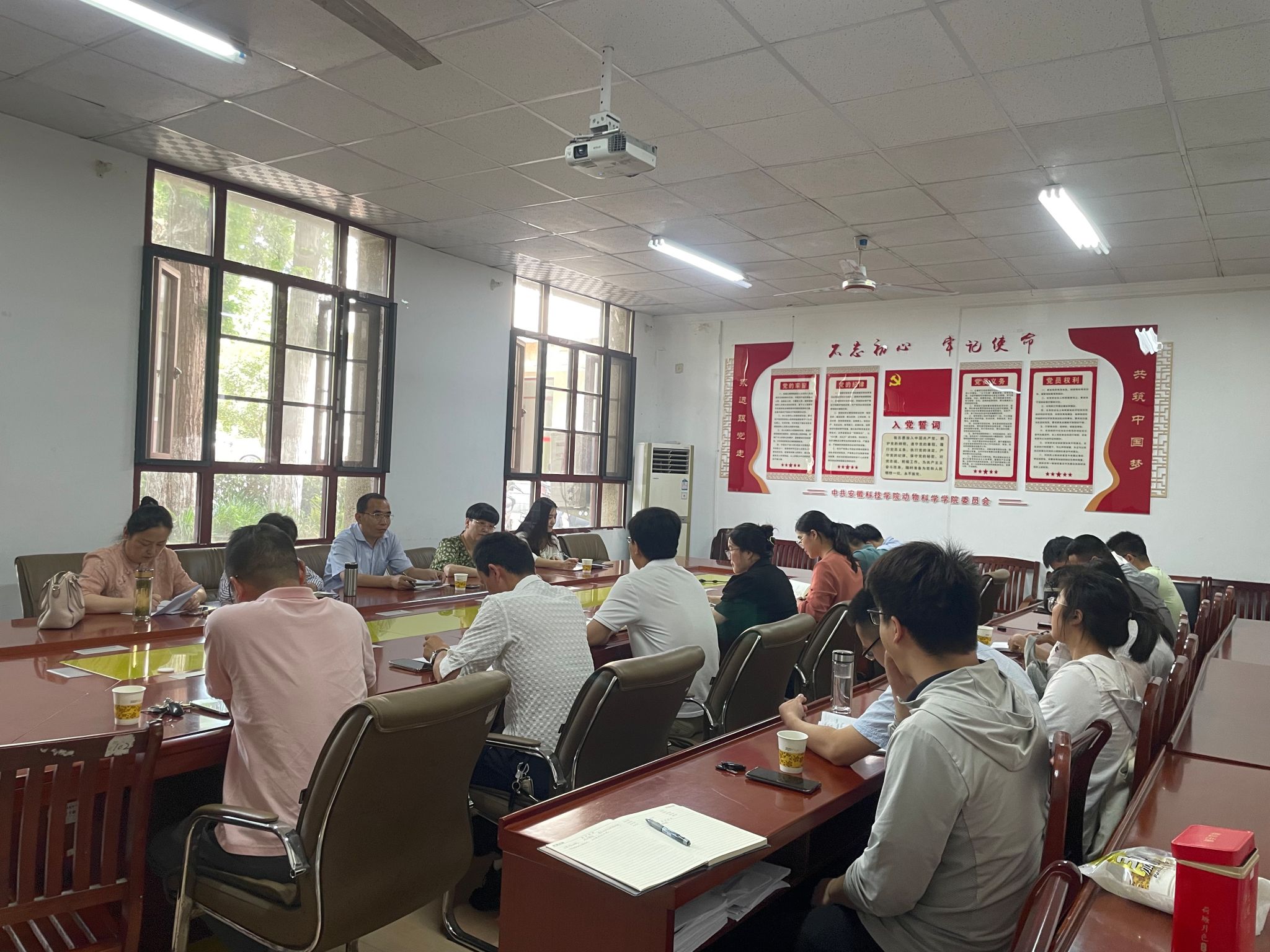 香港彩六宝典资料