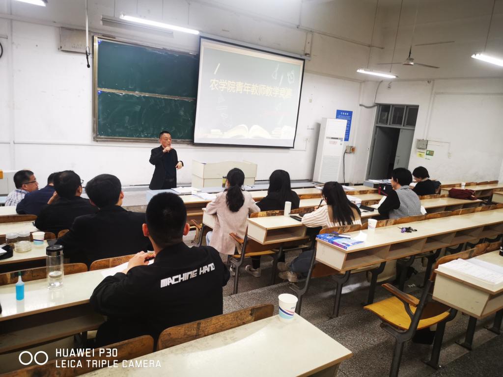 香港彩六宝典资料