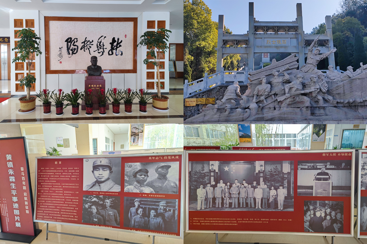 香港彩六宝典资料