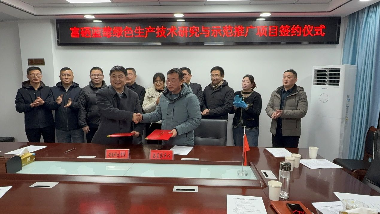 香港彩六宝典资料