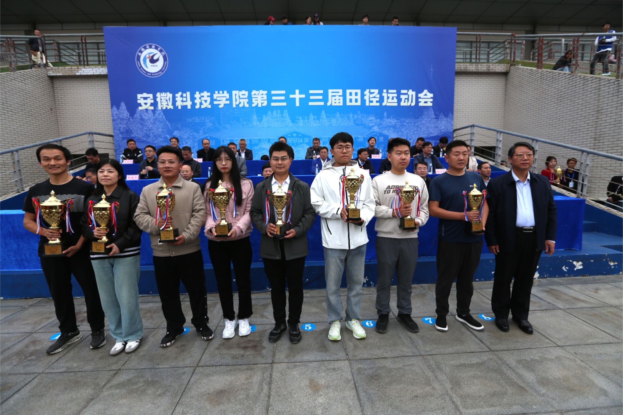 香港彩六宝典资料