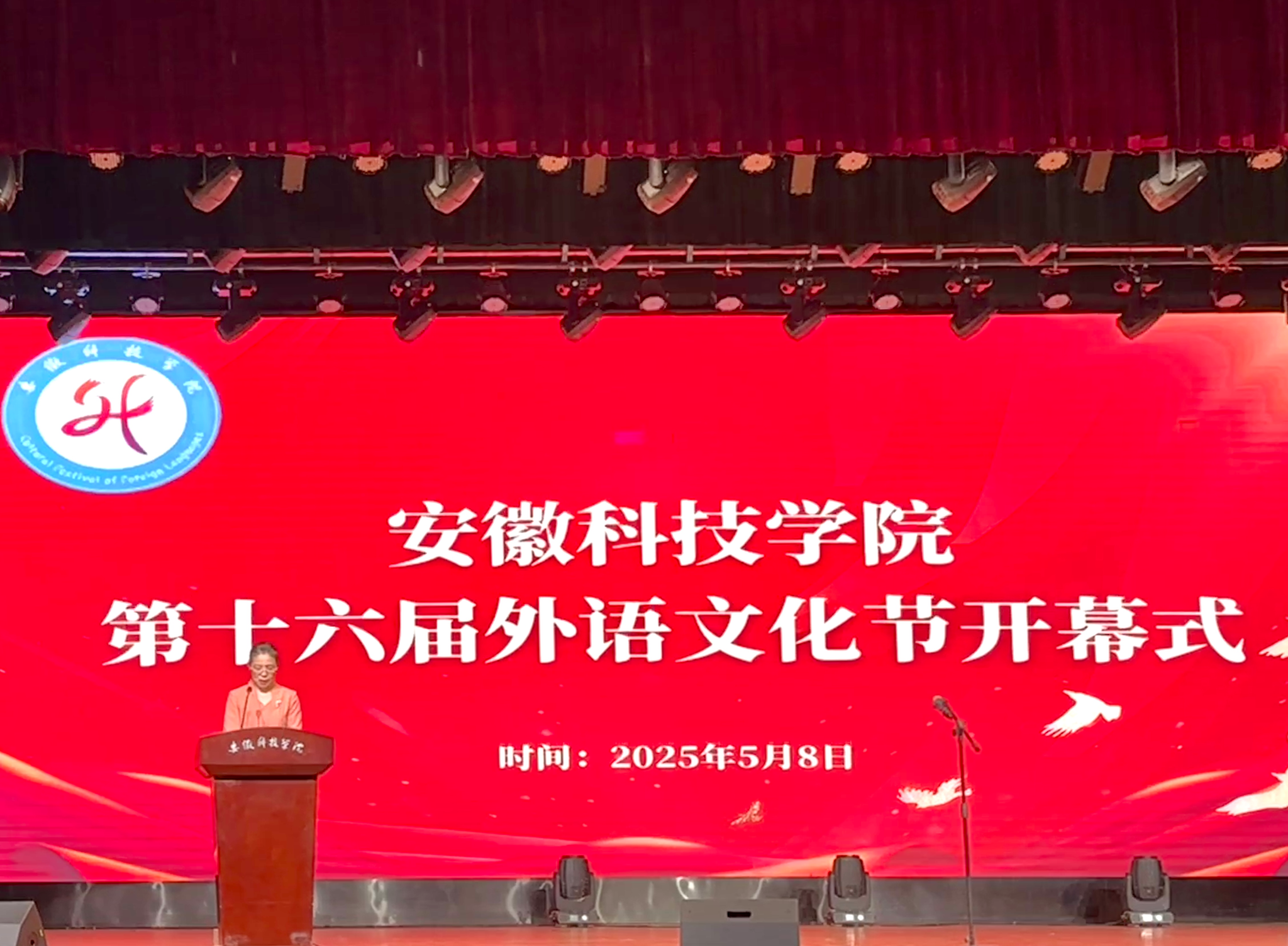 香港彩六宝典资料