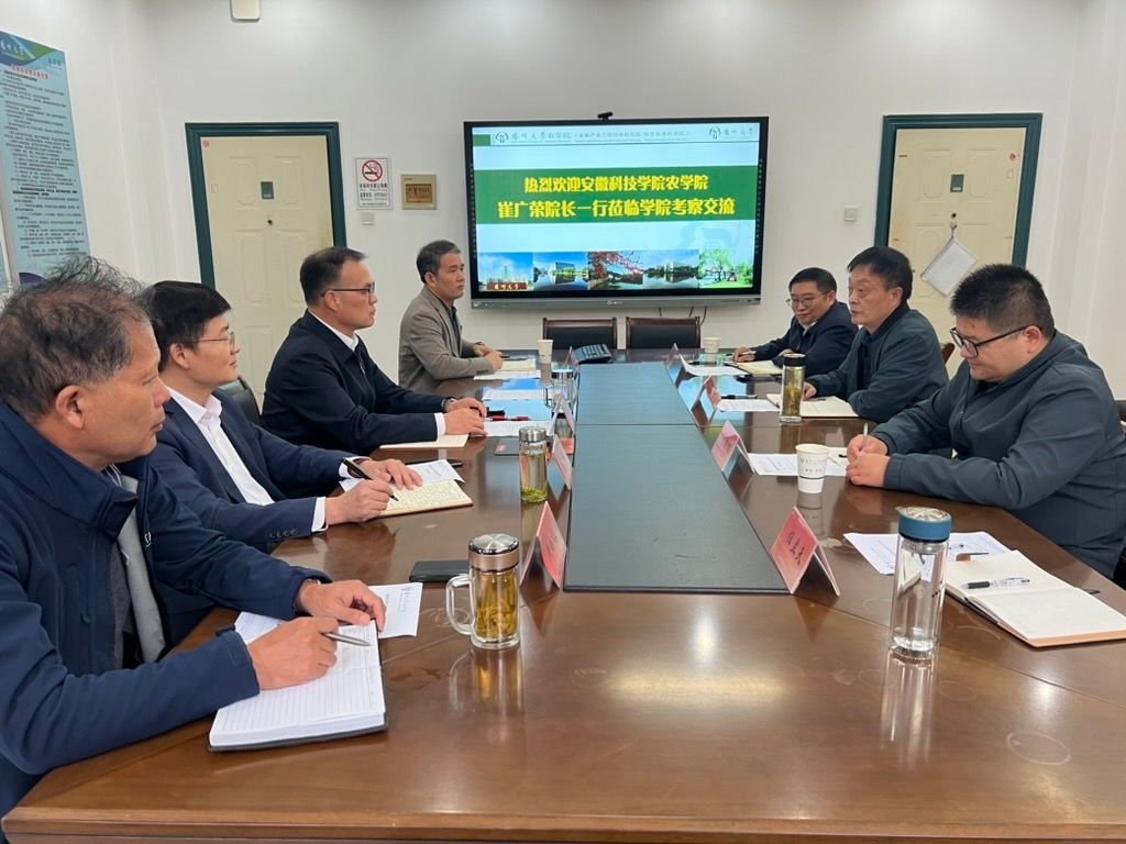 香港彩六宝典资料