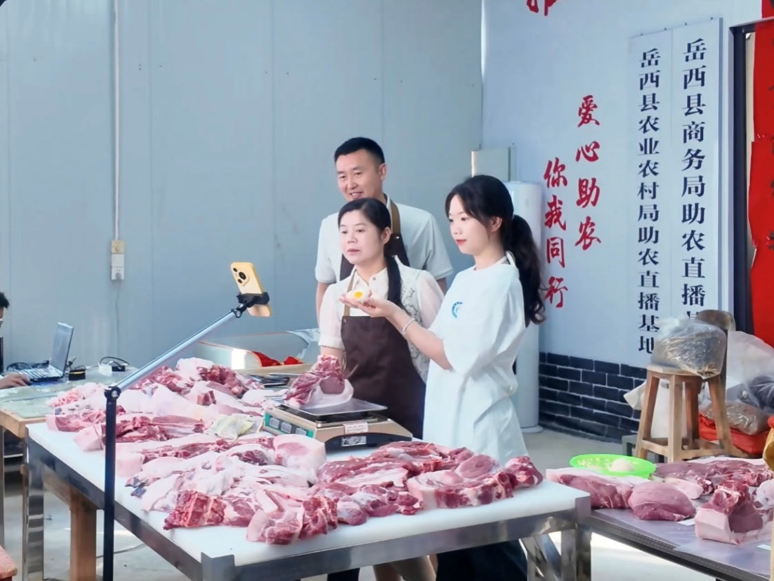 香港彩六宝典资料