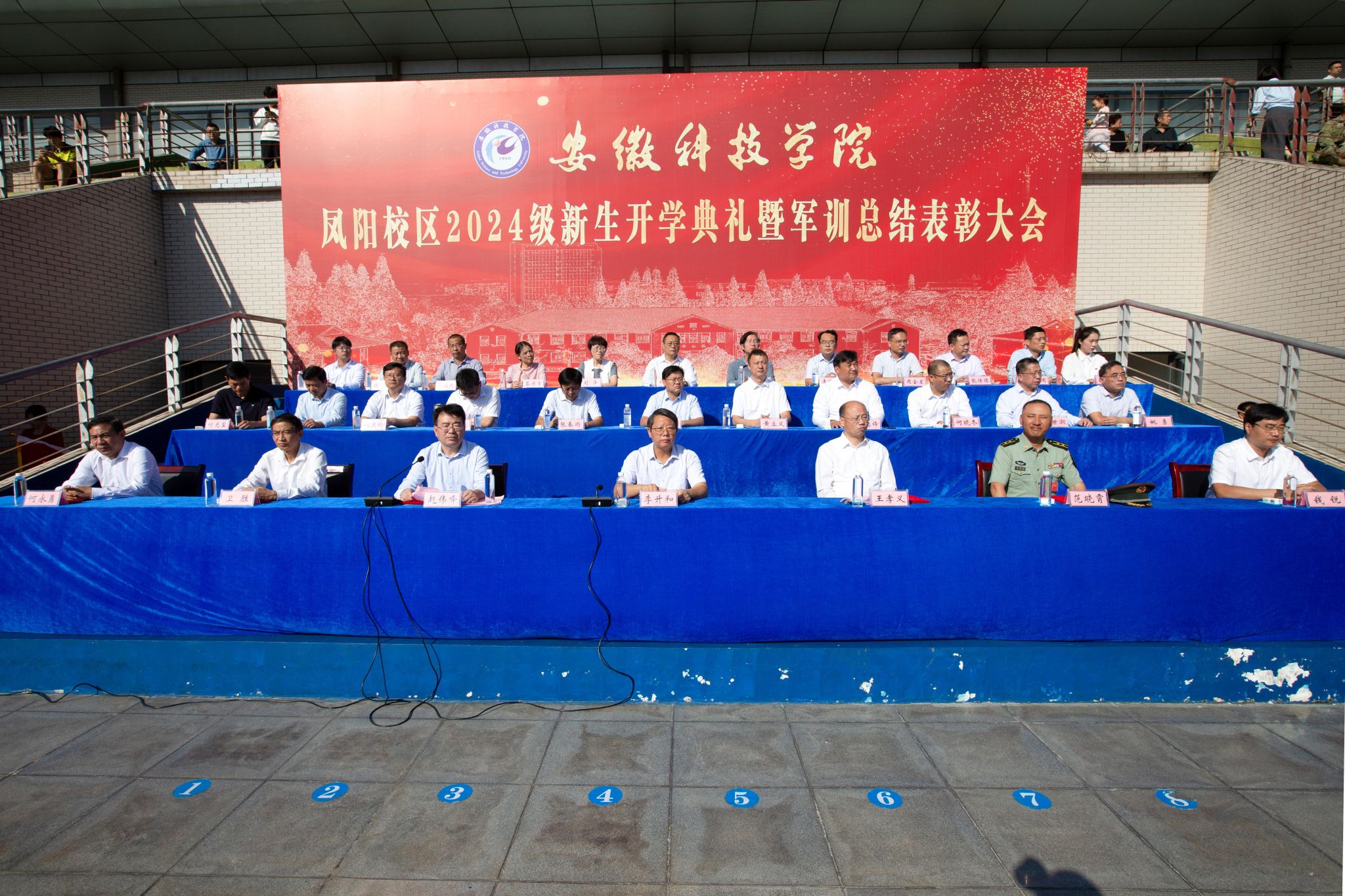 香港彩六宝典资料