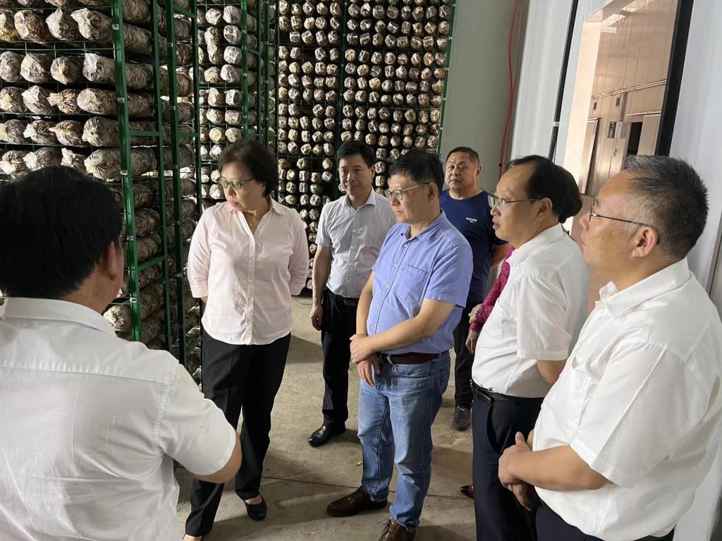香港彩六宝典资料