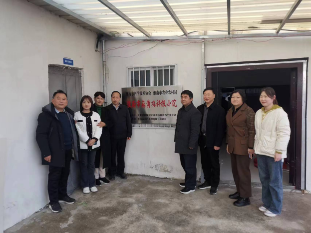 香港彩六宝典资料