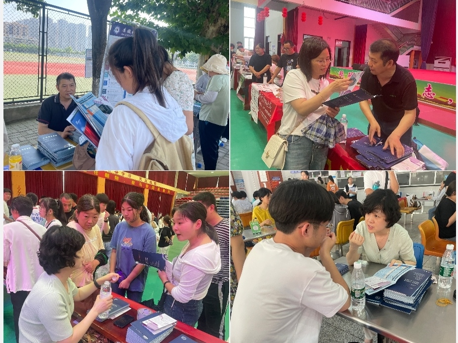 香港彩六宝典资料