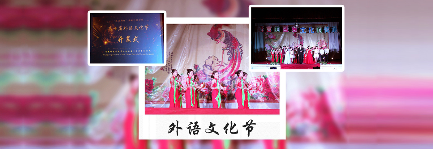香港彩六宝典资料