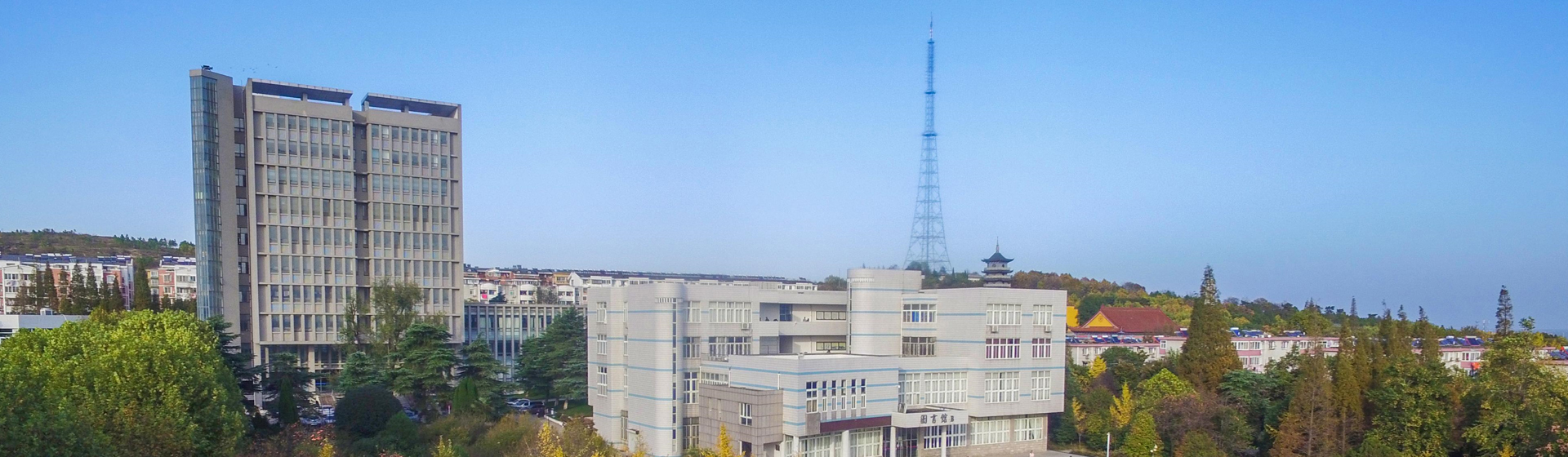 香港彩六宝典资料