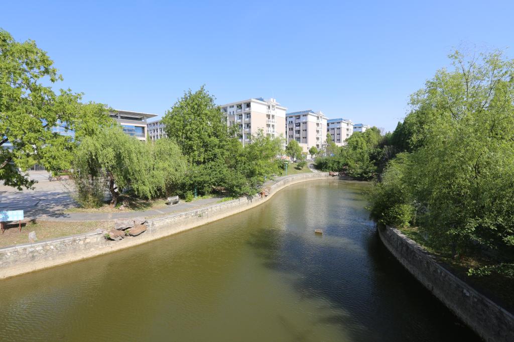 香港彩六宝典资料