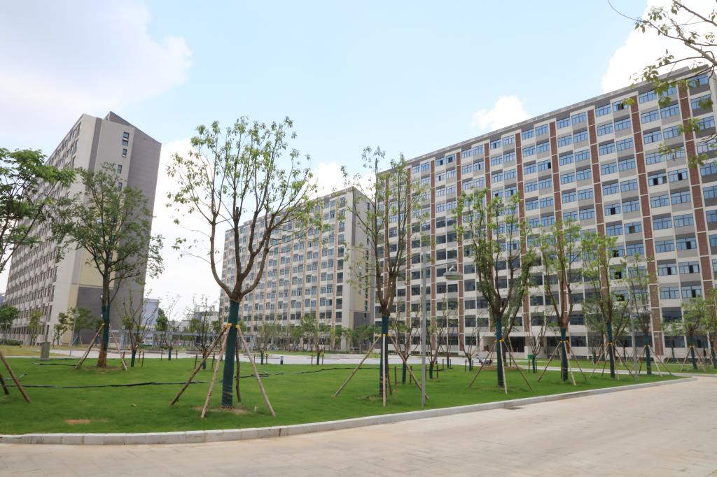 香港彩六宝典资料