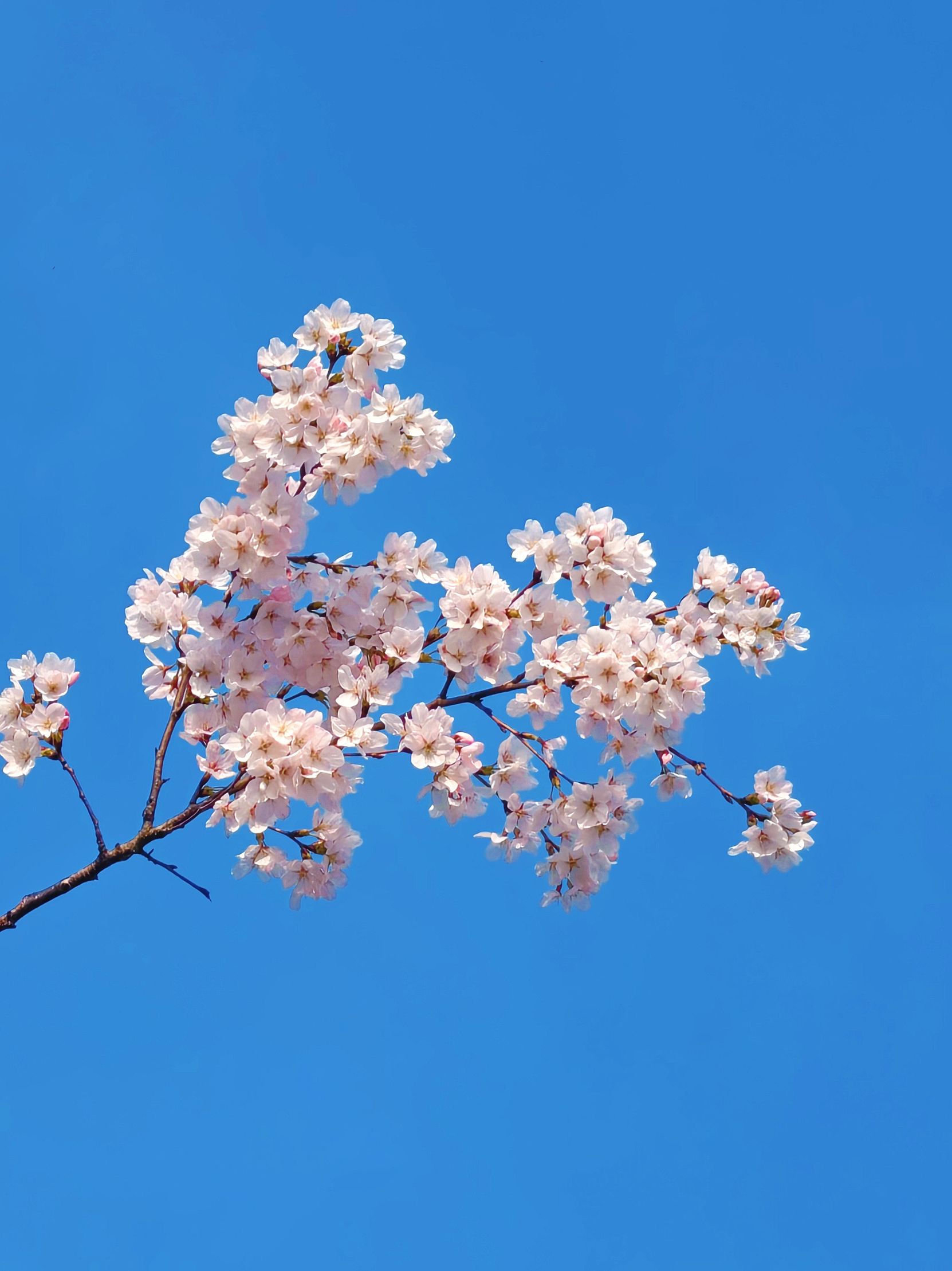 香港彩六宝典资料