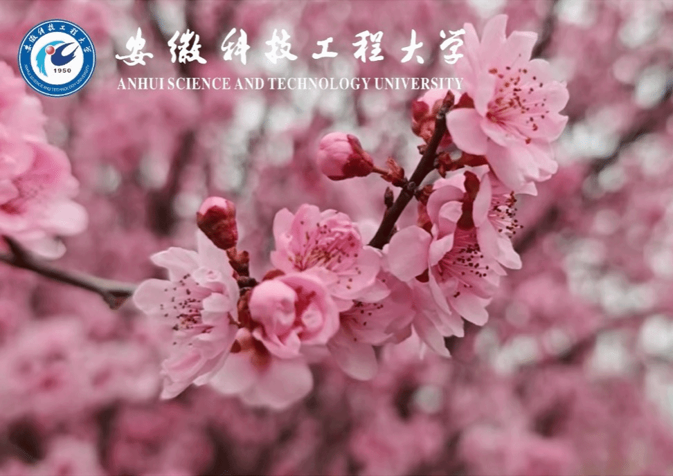 香港彩六宝典资料