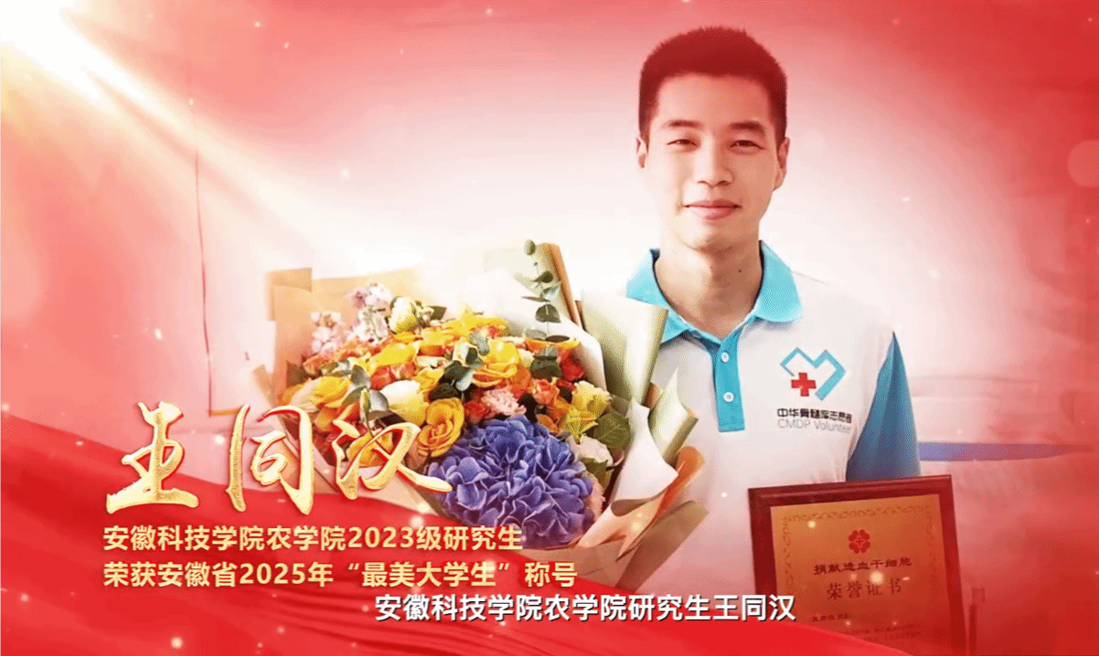 香港彩六宝典资料