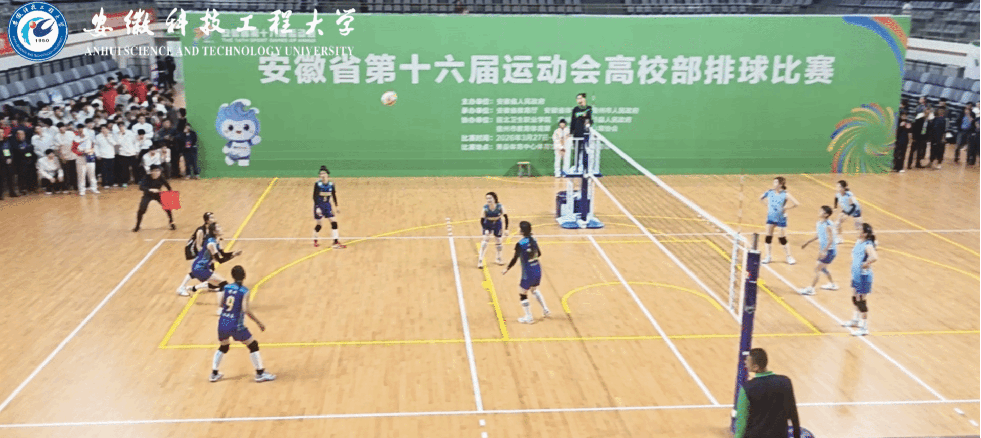 香港彩六宝典资料