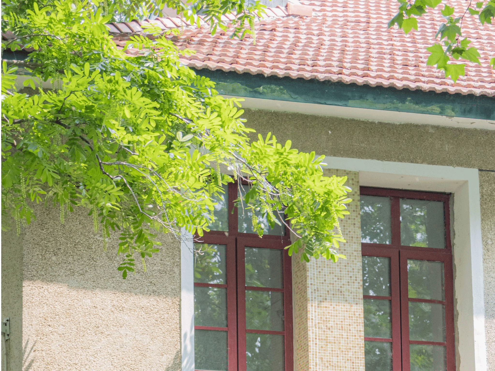 香港彩六宝典资料