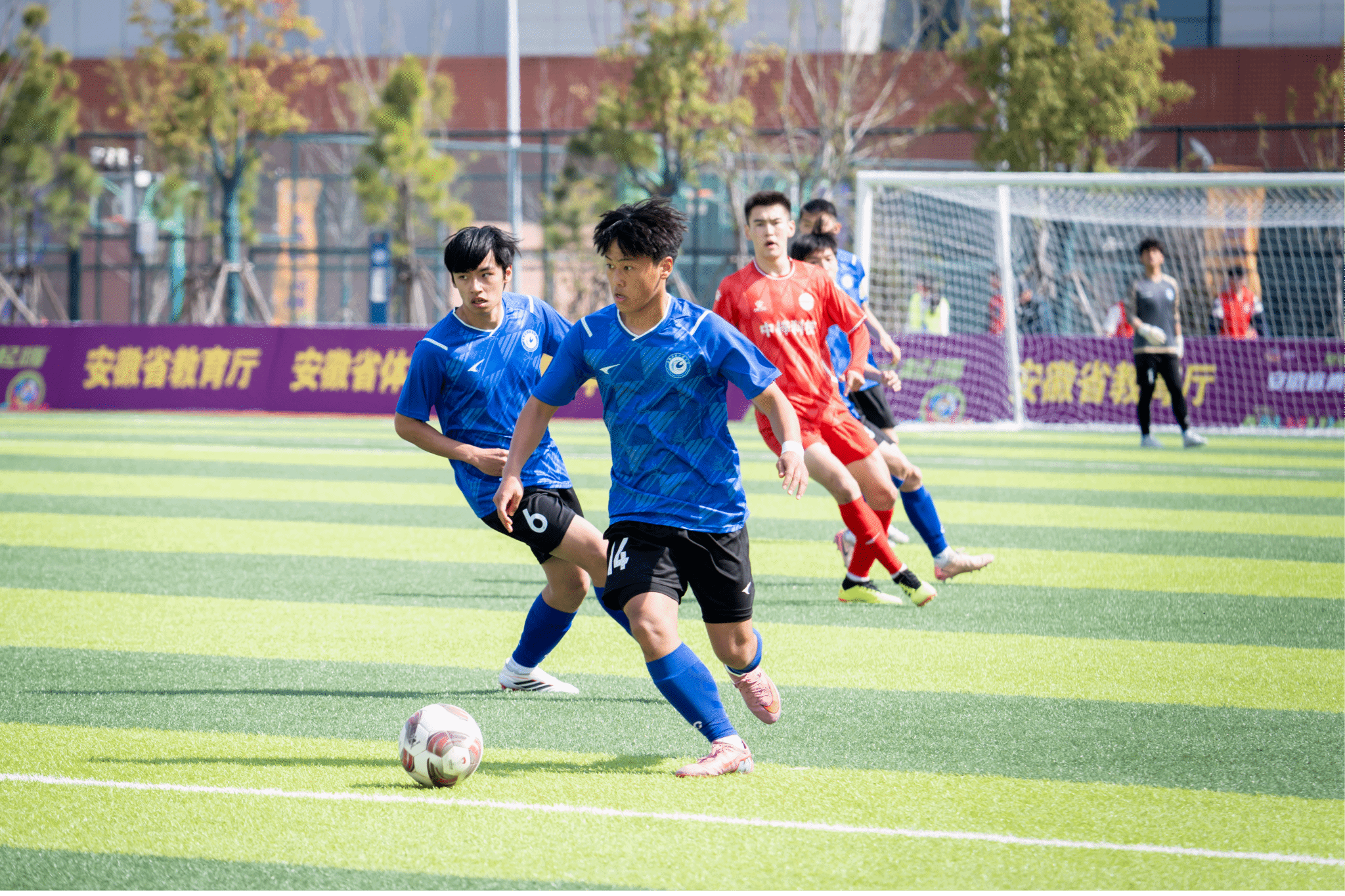 香港彩六宝典资料